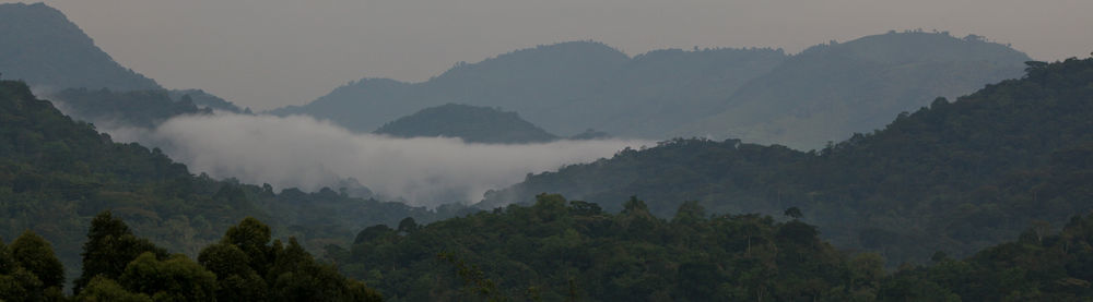 Buhoma Silverback Lodge المظهر الخارجي الصورة